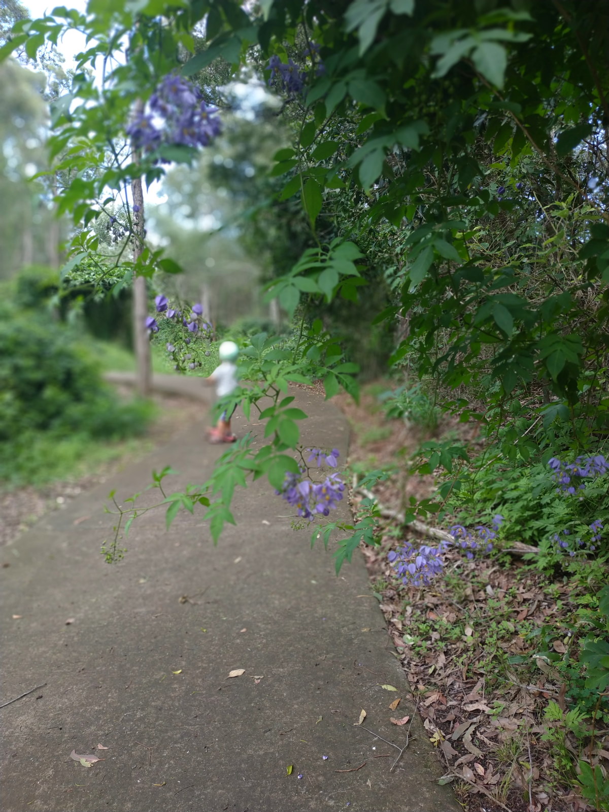 Example image