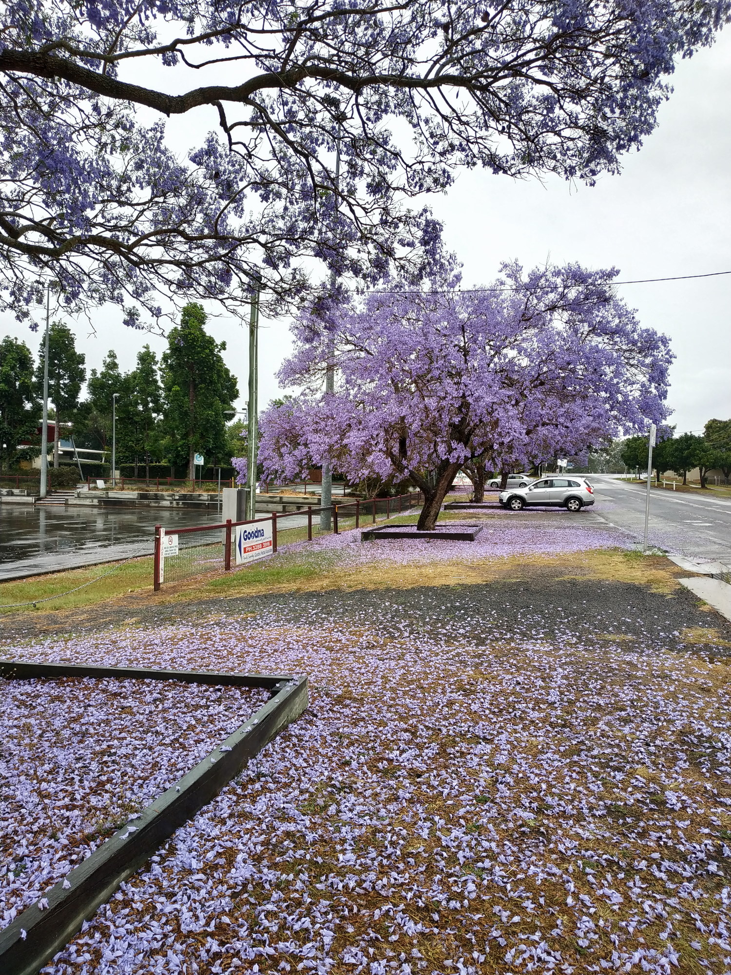 Example image