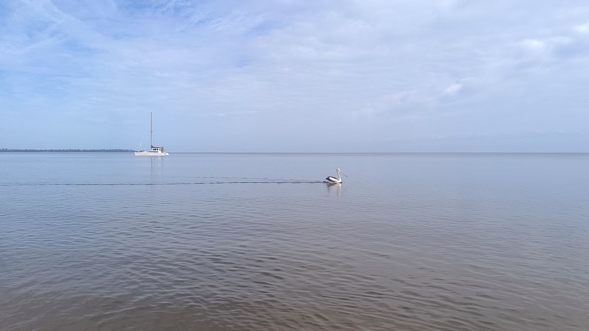 Example image
