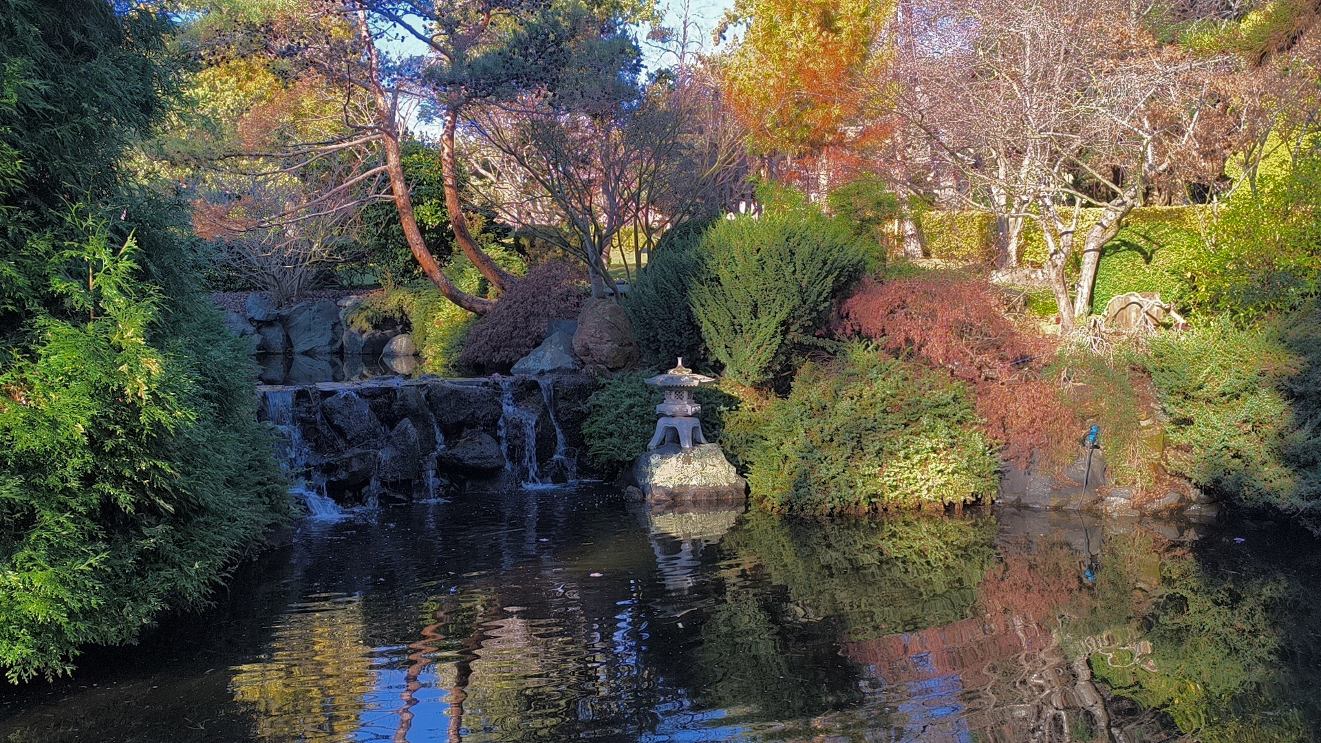 Example image