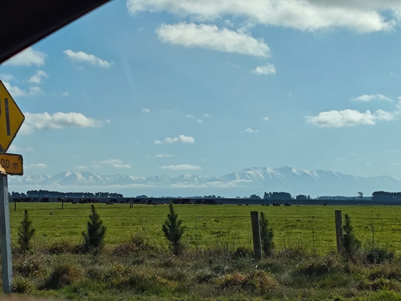 Example image