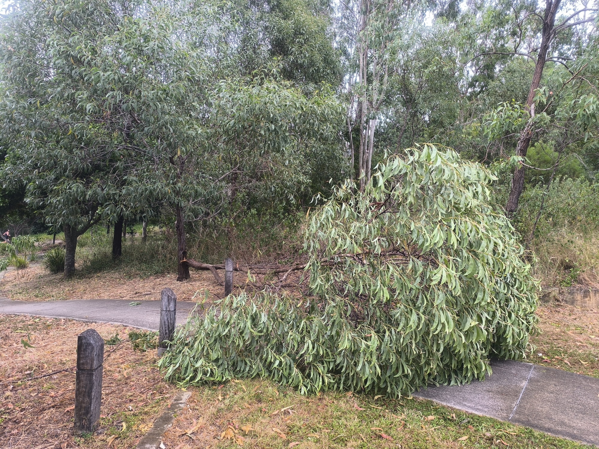 Example image