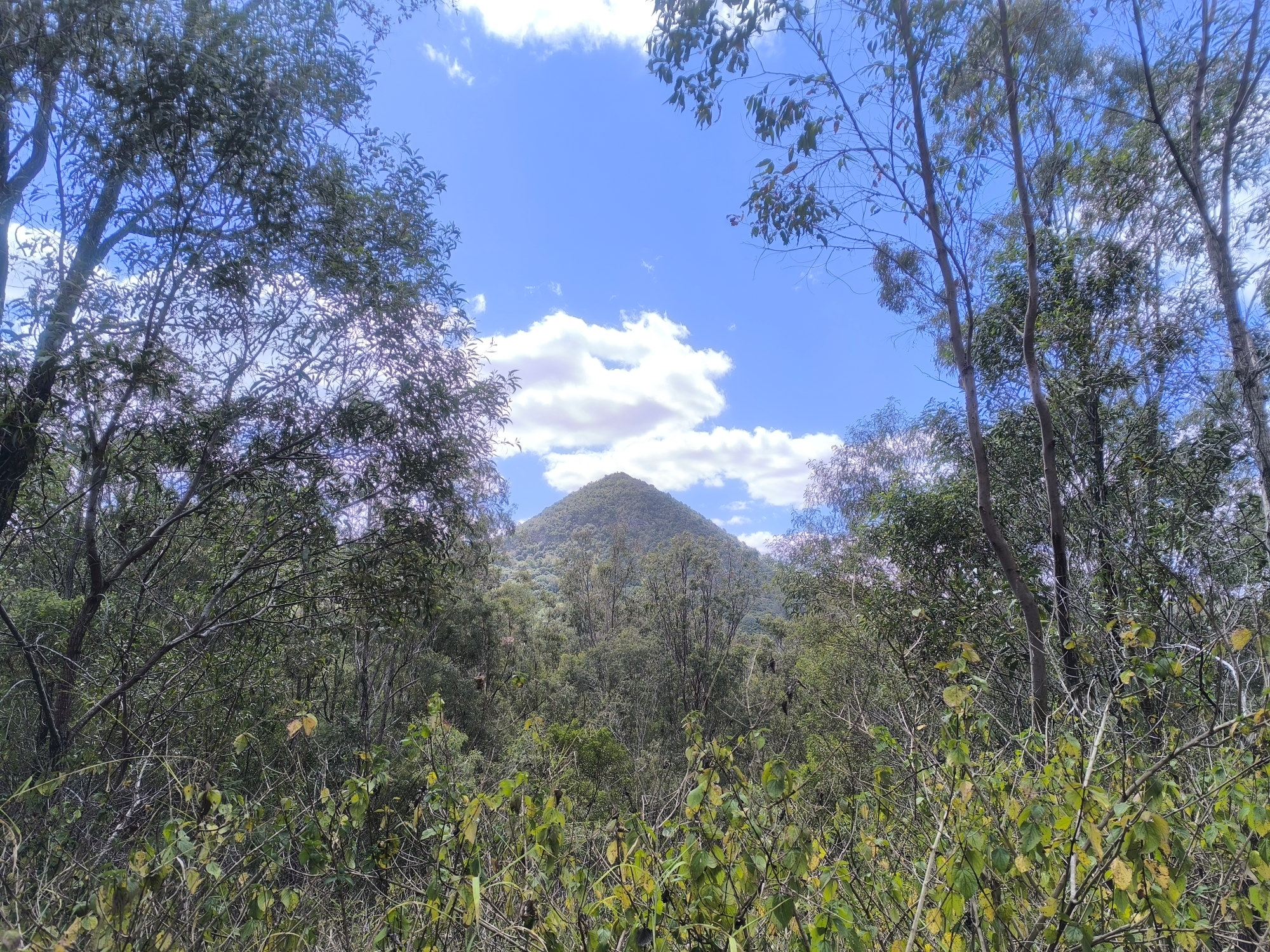 Example image