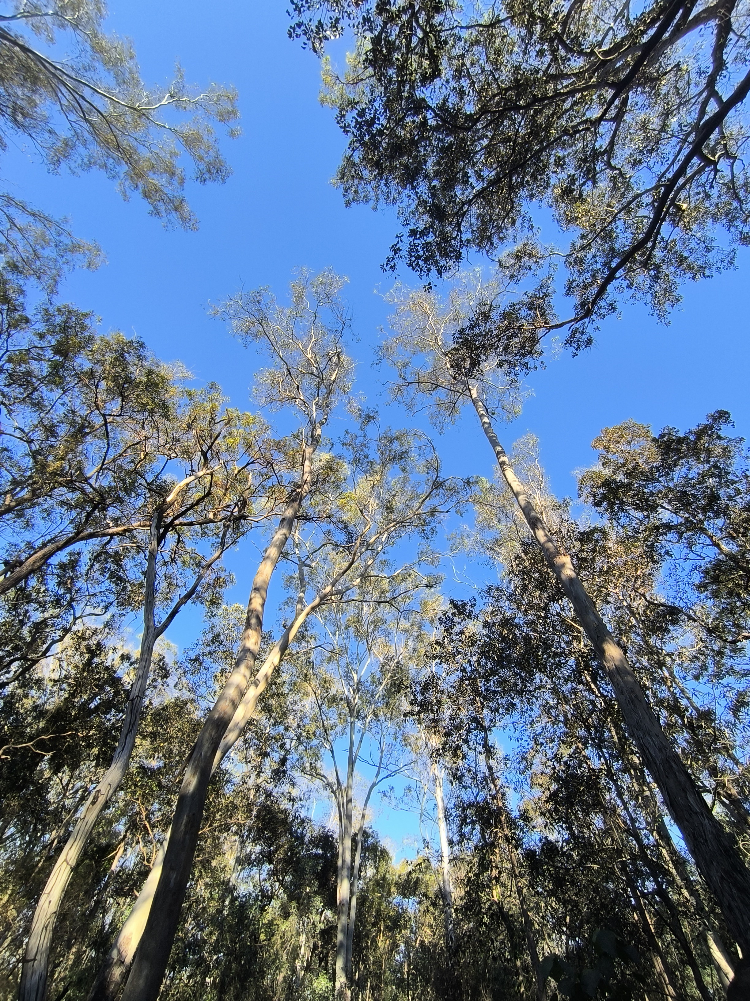 A thumbnail image
