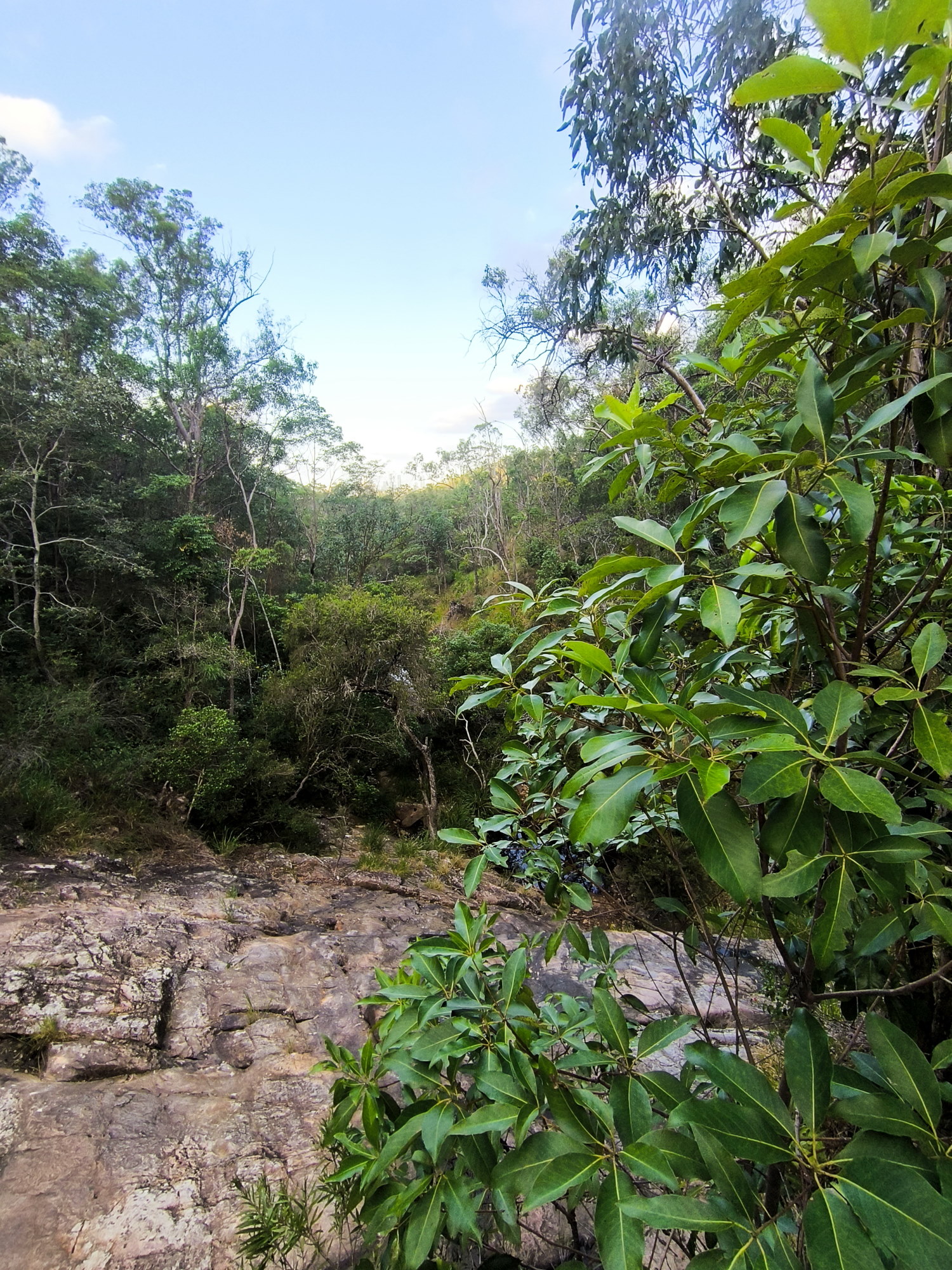 Example image