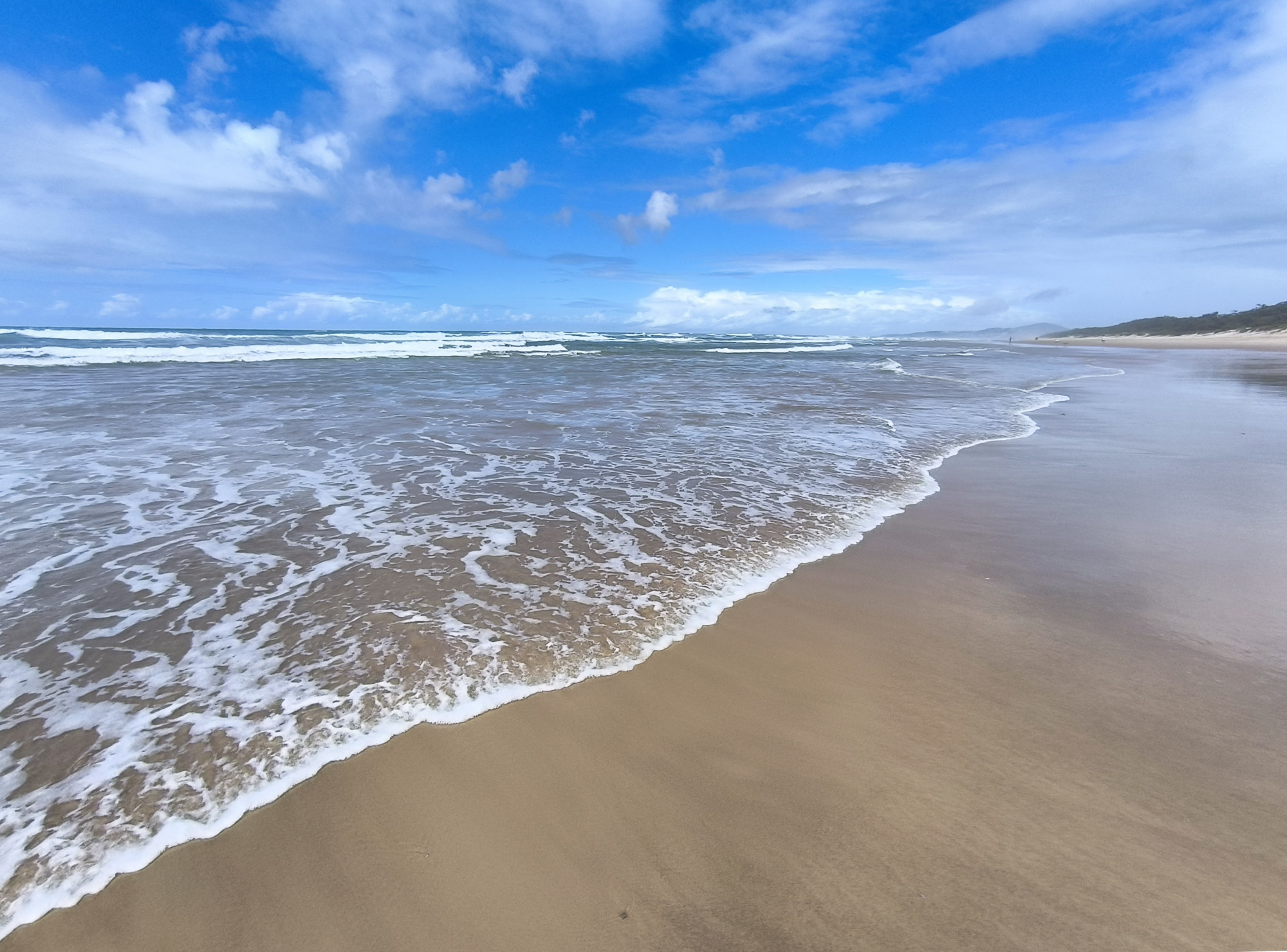 A thumbnail image