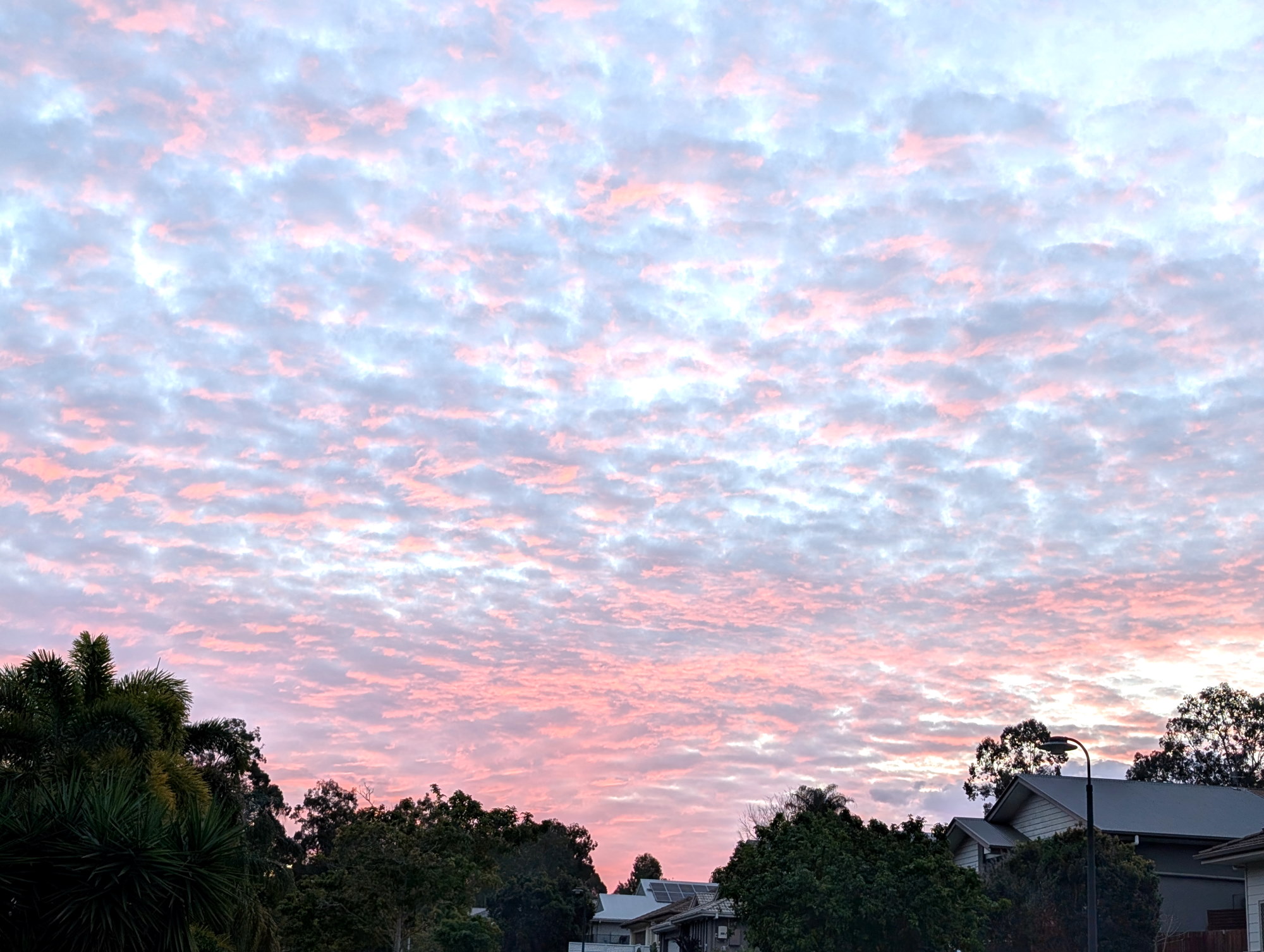 A thumbnail image