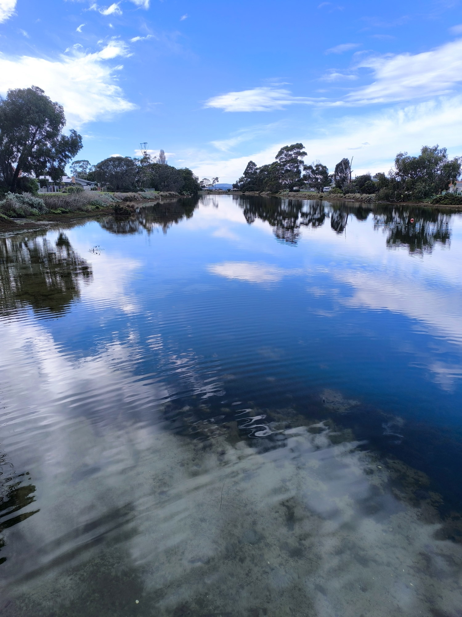 Example image
